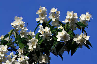 Similar image 6320142