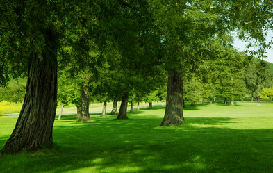 Similar image 6320351