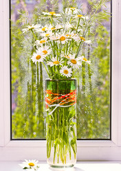 Similar image 6320466