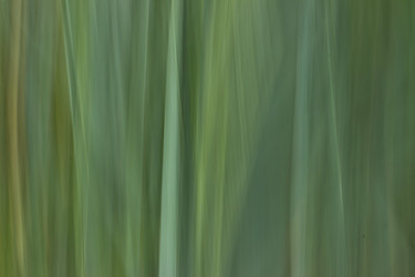 Similar image 6320467