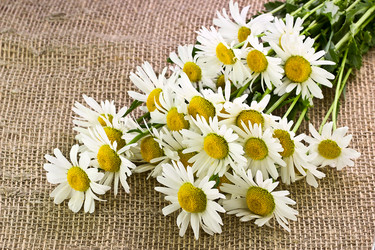 Similar image 6320470