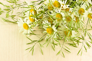 Similar image 6320471