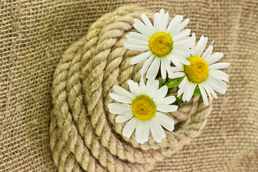 Similar image 6320472