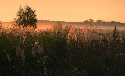 Similar image 6320957