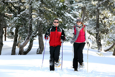 Similar image 6321029