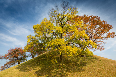 Similar image 6321250