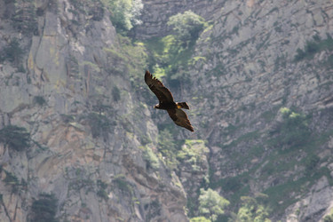 Similar image 6321367