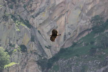 Similar image 6321368