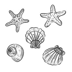 Similar image 6321433