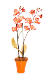 Similar image 6321460