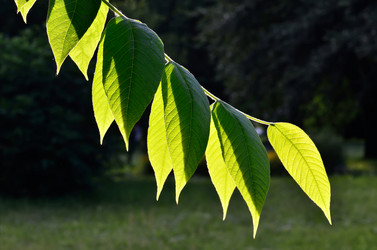 Similar image 6321464