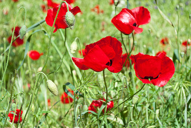 Similar image 6321501