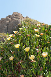 Similar image 6321514