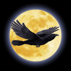 Similar image 6321546