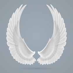 Similar image 6321628