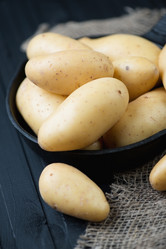 Similar image 6321852