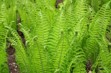 Similar image 6321991