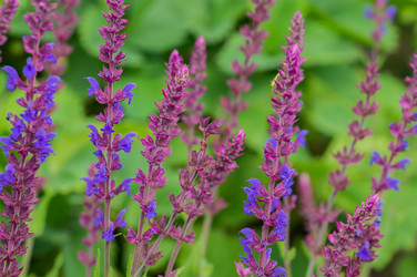 Similar image 6321996