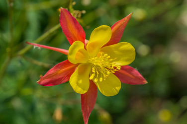 Similar image 6321998