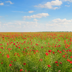 Similar image 6322613