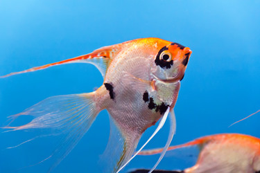 Similar image 6322835