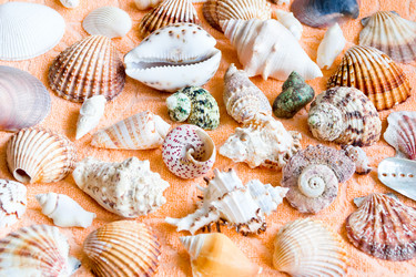 Similar image 6322837