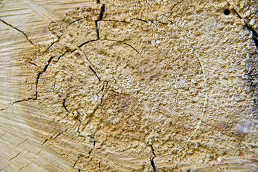 Similar image 6322839