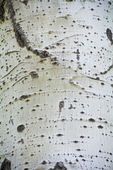 Similar image 6322841