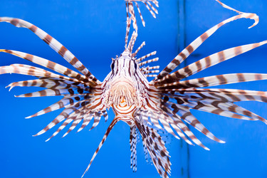 Similar image 6322846