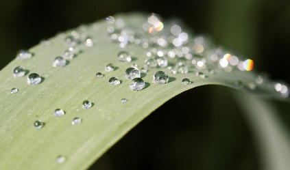 Similar image 6322979