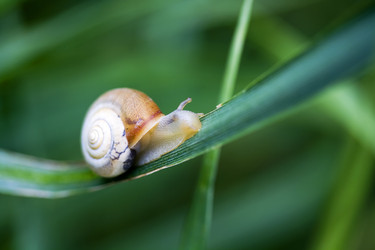 Similar image 6322980