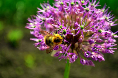 Similar image 6322988