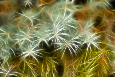 Similar image 6322996