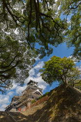 Similar image 6323005