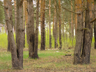 Similar image 6323082