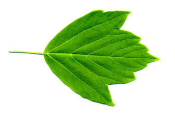 Similar image 6323085