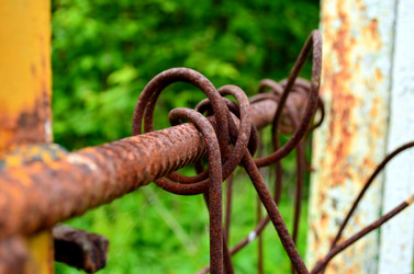 Similar image 6323304