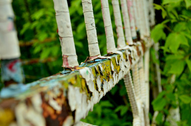 Similar image 6323344