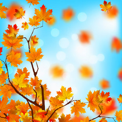 Similar image 6323568