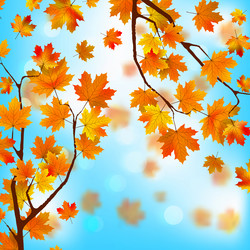 Similar image 6323572