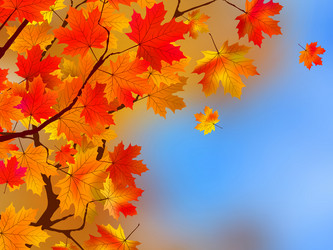 Similar image 6323580