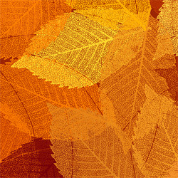 Similar image 6323595