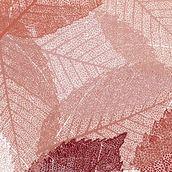 Similar image 6323603