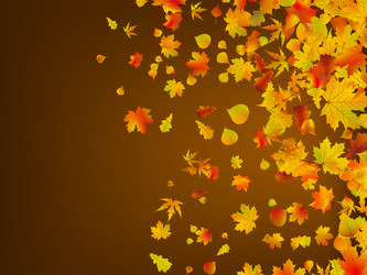 Similar image 6323664