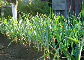 Similar image 6324422