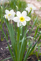 Similar image 6324423