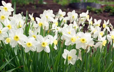 Similar image 6324424