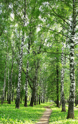 Similar image 6324433