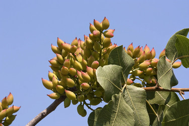 Similar image 6324485