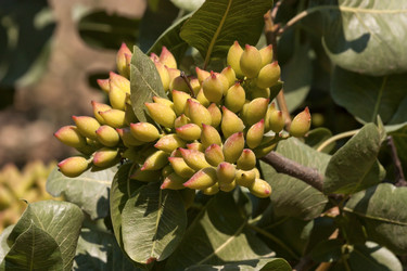 Similar image 6324489